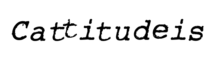 RoughTypewriter-BoldItalic  Free Fonts Download