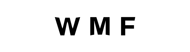 Rayjoe  Free Fonts Download