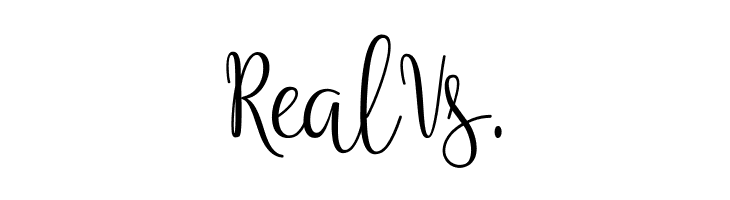 Anteater  Free Fonts Download