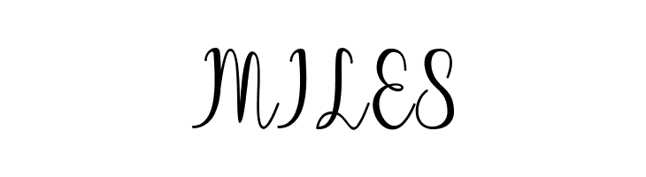 Chinchilla  Free Fonts Download