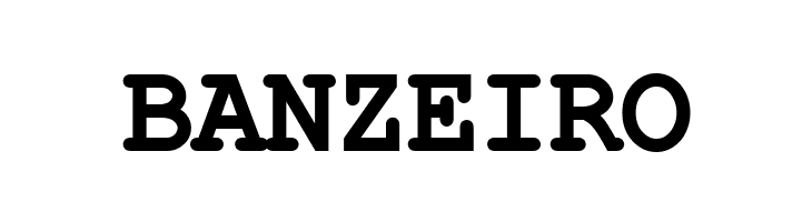 ER Kurier KOI-8 Bold  Free Fonts Download