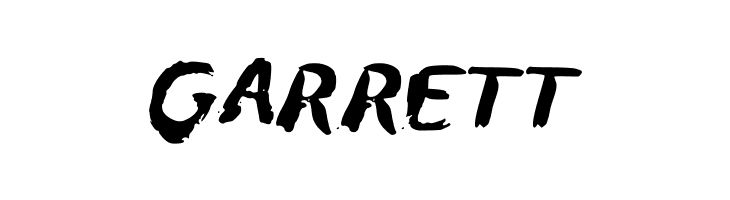 AnnBrush  Free Fonts Download