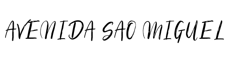 Silhouetto Script  Free Fonts Download