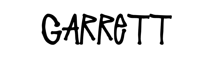 Stussy Script Regular  Free Fonts Download