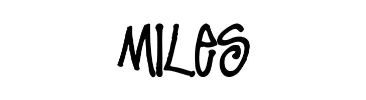 Stussy Script Regular  Free Fonts Download