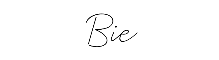 Prochok Regular  Free Fonts Download