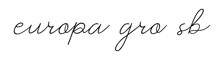 Prochok Regular  Free Fonts Download