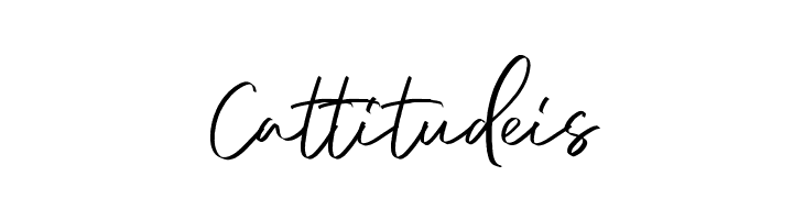 DianaWebberScriptDEMO-Solid  Free Fonts Download