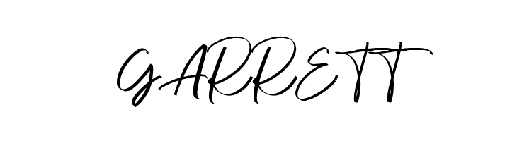 DianaWebberScriptDEMO-Solid  Free Fonts Download