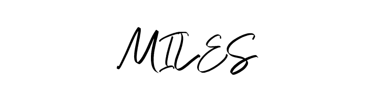 DianaWebberScriptDEMO-Solid  Free Fonts Download