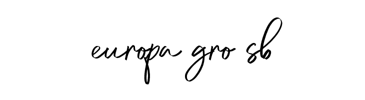 DianaWebberScriptDEMO-Solid  Free Fonts Download