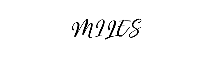 MegattorDEMO  Free Fonts Download