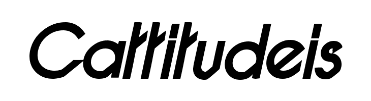 Pacotilleital bold  Free Fonts Download