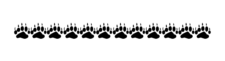 go wild  Free Fonts Download