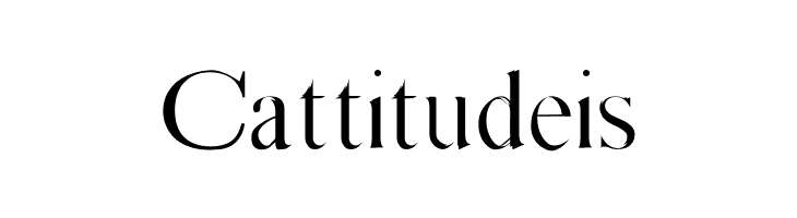 Absortile  Free Fonts Download