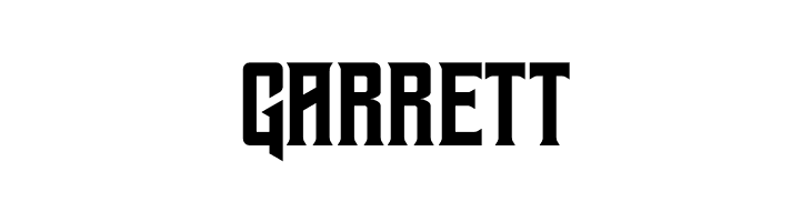 Geizer  Free Fonts Download