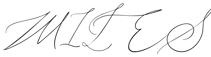 John Davidson Demo  Free Fonts Download