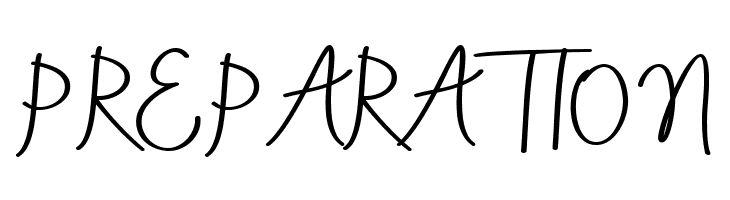 AneishaScriptBold  Free Fonts Download