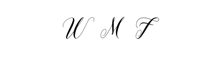 Leather  Free Fonts Download