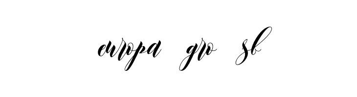 Leather  Free Fonts Download