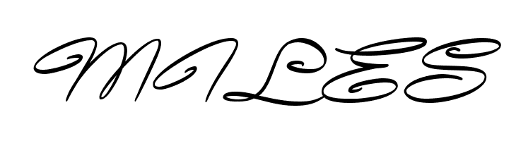 Avelana Medi Ital PERSONAL USE  Free Fonts Download