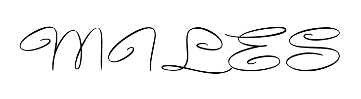 Avelana Thin PERSONAL USE  Free Fonts Download