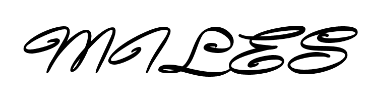 Avelana Bold Ital PERSONAL USE  Free Fonts Download