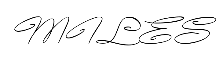 Avelana Thin Ital PERSONAL USE  Free Fonts Download