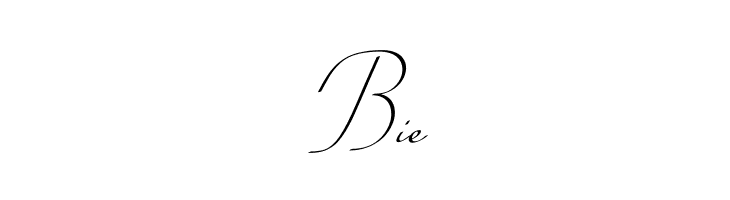 Conture Script PERSONAL USE  Free Fonts Download