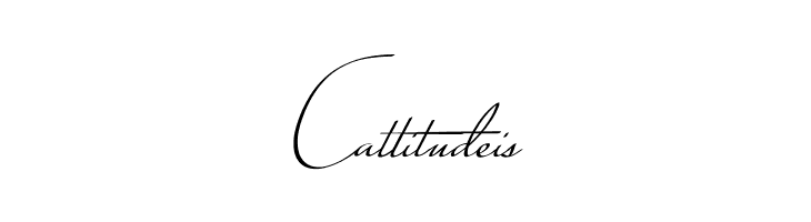 Conture Script PERSONAL USE  Free Fonts Download