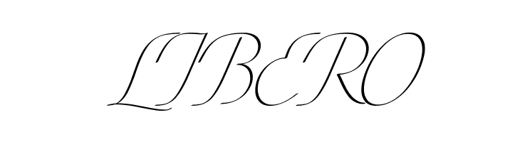 Conture Script PERSONAL USE  Free Fonts Download