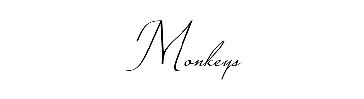 Conture Script PERSONAL USE  Free Fonts Download