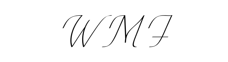 Conture Script PERSONAL USE  Free Fonts Download