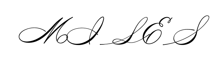 Medish Script PERSONAL USE ONLY  Free Fonts Download