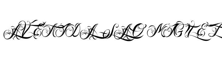 Nino Script PERSONAL USE ONLY  Free Fonts Download