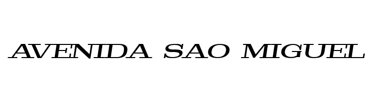 Pigeon PERSONAL Medium Italic  Free Fonts Download