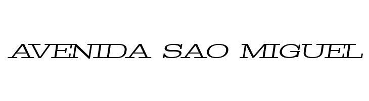 Pigeon PERSONAL Light Italic  Free Fonts Download