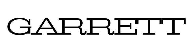 Pigeon PERSONAL Light  Free Fonts Download