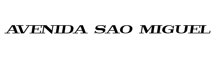 Pigeon PERSONAL Bold Italic  Free Fonts Download