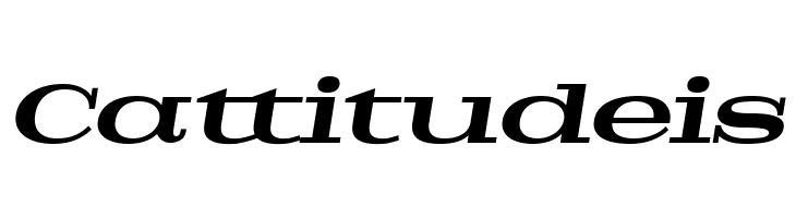 Pigeon PERSONAL Bold Italic  Free Fonts Download