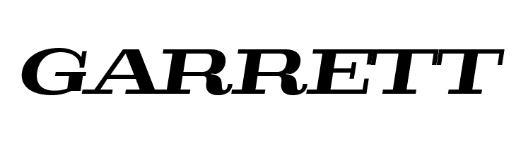 Pigeon PERSONAL Bold Italic  Free Fonts Download