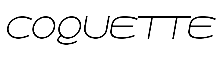 Roona Sans Thin PERSONAL Italic  Free Fonts Download