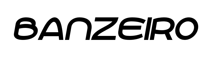 Roona Sans Bold PERSONAL Italic  Free Fonts Download