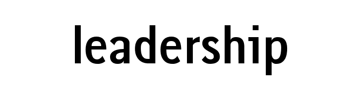 gausshauss bold  Free Fonts Download