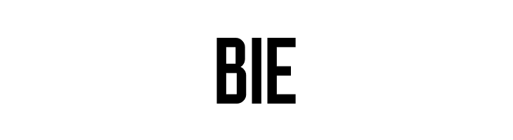 Brewmaster Gothic Demo  Free Fonts Download