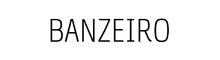 PC Navita Light  Free Fonts Download