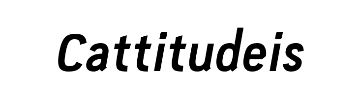 PC Navita Bold-Oblique  Free Fonts Download