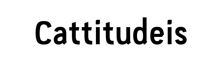 PC Navita Bold  Free Fonts Download