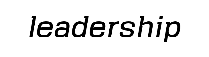 VersaBlock Book Oblique  Free Fonts Download