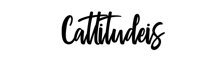 Passengers Script  Free Fonts Download